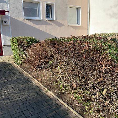 גוסלר Mycha Ferienwohnung מראה חיצוני תמונה