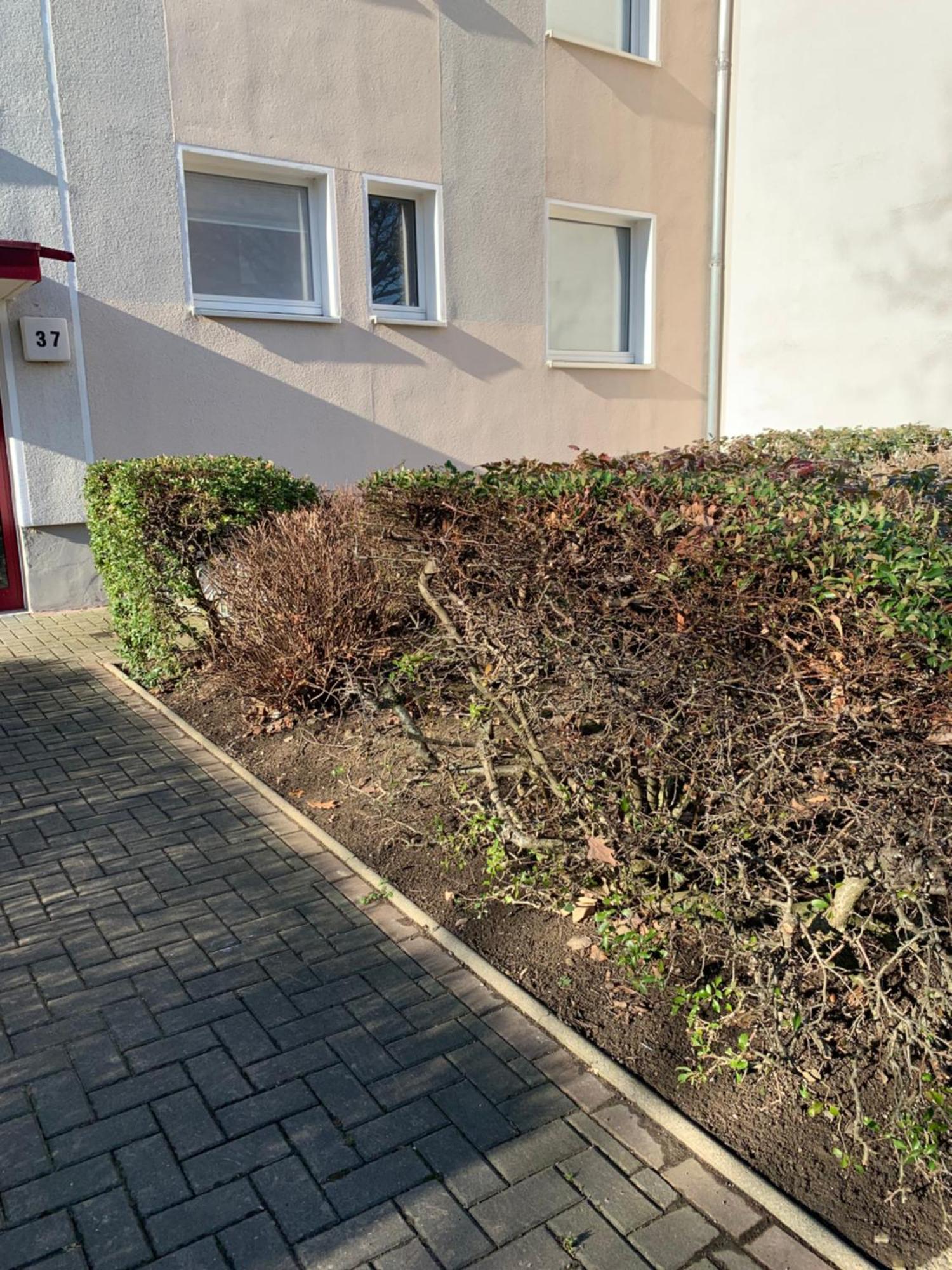 גוסלר Mycha Ferienwohnung מראה חיצוני תמונה